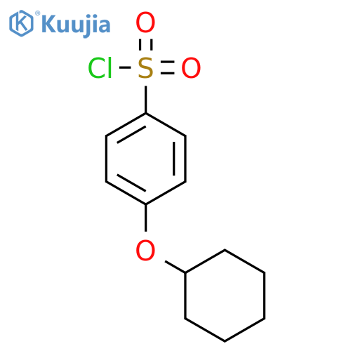 4-(cyclohexyloxy)benzene-1-sulfonyl chloride structure