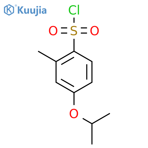 2-Methyl-4-(propan-2-yloxy)benzene-1-sulfonyl chloride structure