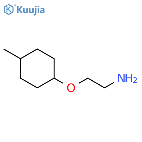 2-(4-methylcyclohexyl)oxyethan-1-amine structure