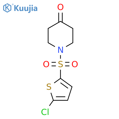 1-[(5-Chloro-2-thienyl)sulfonyl]piperidin-4-one structure