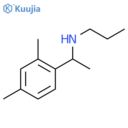 1-(2,4-dimethylphenyl)ethyl(propyl)amine structure