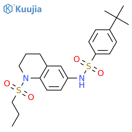4-tert-butyl-N-[1-(propane-1-sulfonyl)-1,2,3,4-tetrahydroquinolin-6-yl]benzene-1-sulfonamide structure
