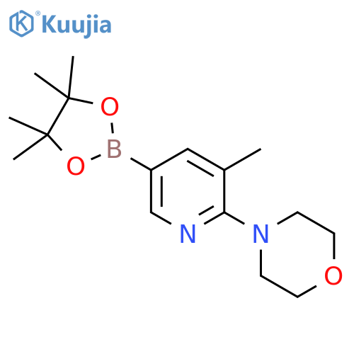 4-[3-methyl-5-(4,4,5,5-tetramethyl-1,3,2-dioxaborolan-2-yl)-2-pyridyl]morpholine structure