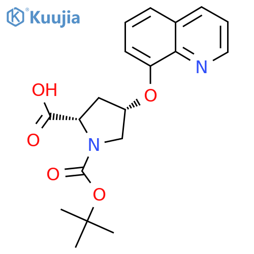 (2S,4S)-1-(Tert-butoxycarbonyl)-4-(8-quinolinyl-oxy)-2-pyrrolidinecarboxylic acid structure