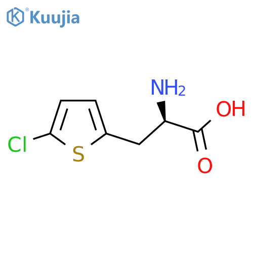 (2R)-2-amino-3-(5-chlorothiophen-2-yl)propanoic acid structure