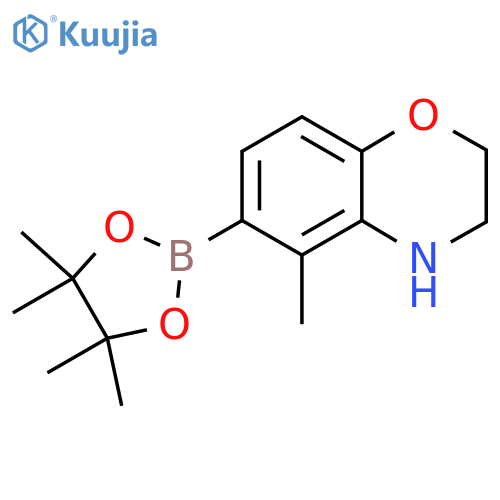 5-methyl-6-(4,4,5,5-tetramethyl-[1,3,2]dioxaborolan-2-yl)-3,4-dihydro-2H-benzo[1,4]oxazine structure