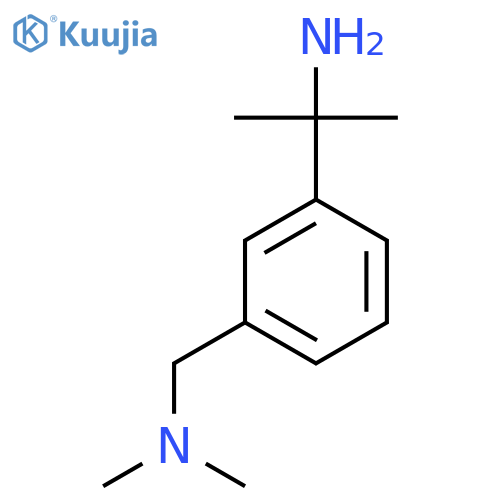 2-{3-(dimethylamino)methylphenyl}propan-2-amine structure