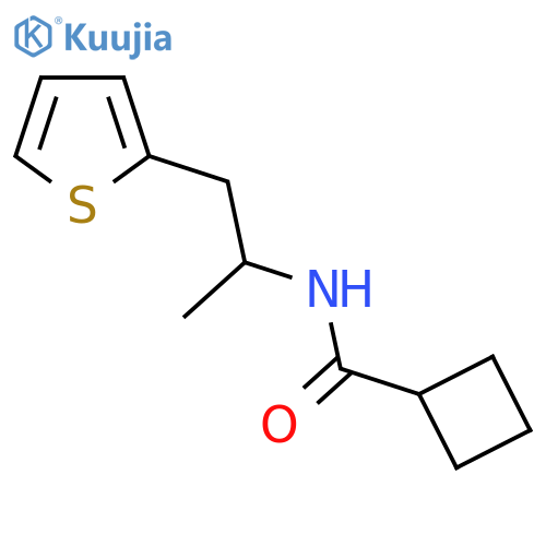 N-1-(thiophen-2-yl)propan-2-ylcyclobutanecarboxamide structure