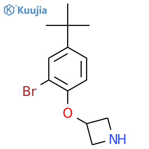 3-[2-Bromo-4-(tert-butyl)phenoxy]azetidine structure