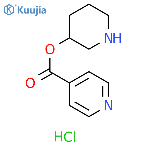 3-Piperidinylisonicotinate Hydrochloride structure