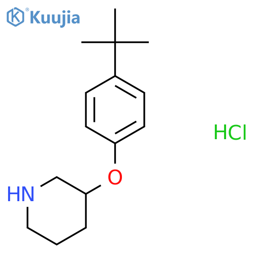 3-4-(tert-Butyl)phenoxypiperidine hydrochloride structure