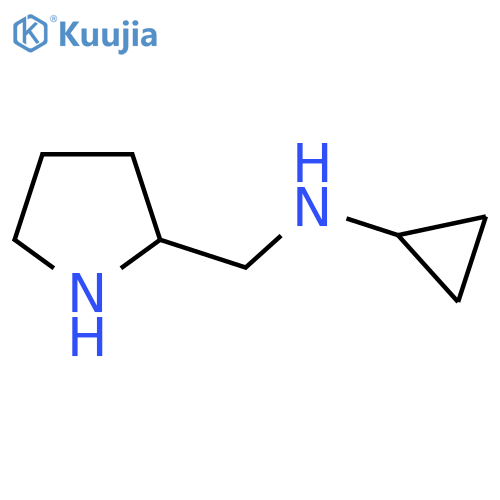 N-[(pyrrolidin-2-yl)methyl]cyclopropanamine structure