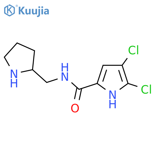 4,5-dichloro-N-[(pyrrolidin-2-yl)methyl]-1H-pyrrole-2-carboxamide structure