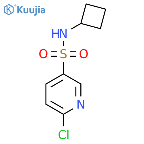 6-Chloro-N-cyclobutylpyridine-3-sulfonamide structure