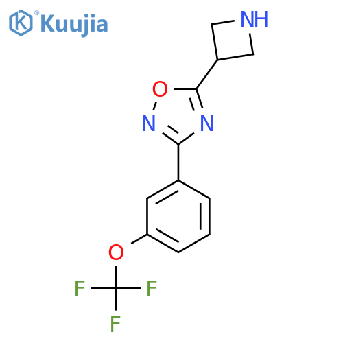 5-(azetidin-3-yl)-3-3-(trifluoromethoxy)phenyl-1,2,4-oxadiazole structure