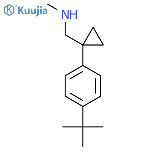 {1-(4-tert-butylphenyl)cyclopropylmethyl}(methyl)amine structure