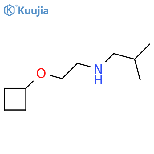 (2-Cyclobutoxyethyl)(2-methylpropyl)amine structure