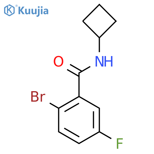 2-Bromo-N-cyclobutyl-5-fluorobenzamide structure