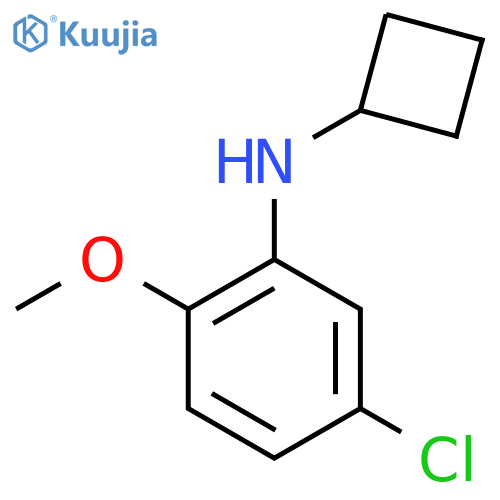 5-chloro-N-cyclobutyl-2-methoxyaniline structure