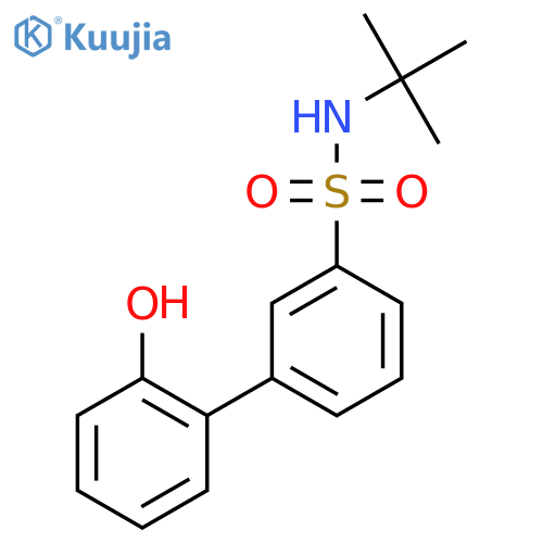 [1,1'-Biphenyl]-3-sulfonamide, N-(1,1-dimethylethyl)-2'-hydroxy- structure