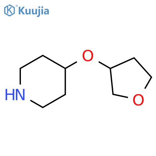 4-(oxolan-3-yloxy)piperidine structure