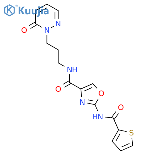 N-3-(6-oxo-1,6-dihydropyridazin-1-yl)propyl-2-(thiophene-2-amido)-1,3-oxazole-4-carboxamide structure