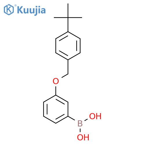 Boronic acid, B-[3-[[4-(1,1-dimethylethyl)phenyl]methoxy]phenyl]- structure