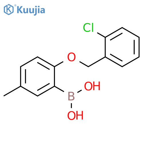 {2-(2-chlorophenyl)methoxy-5-methylphenyl}boronic acid structure