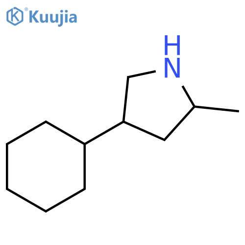 4-cyclohexyl-2-methylpyrrolidine structure