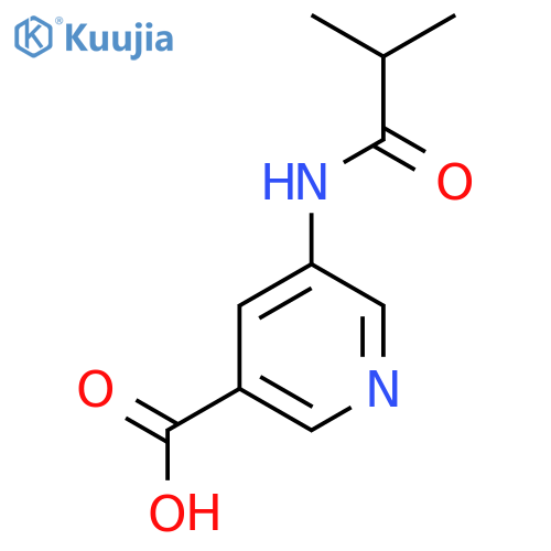 5-(2-Methylpropanamido)pyridine-3-carboxylic acid structure