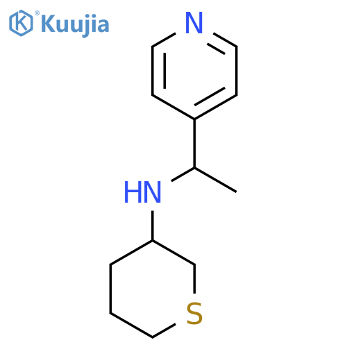 N-[1-(Pyridin-4-yl)ethyl]thian-3-amine structure
