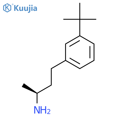(2S)-4-(3-tert-butylphenyl)butan-2-amine structure