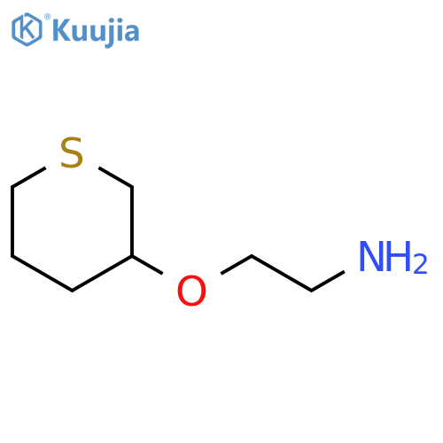 2-(thian-3-yloxy)ethan-1-amine structure