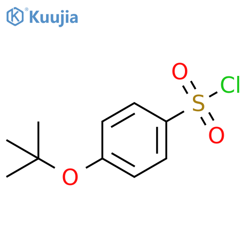 4-(tert-butoxy)benzene-1-sulfonyl chloride structure