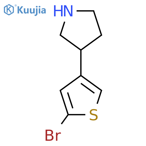 3-(5-bromothiophen-3-yl)pyrrolidine structure