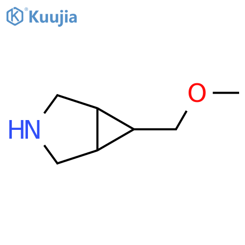 6-(methoxymethyl)-3-azabicyclo3.1.0hexane structure