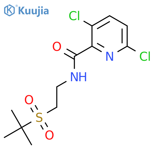 3,6-dichloro-N-2-(2-methylpropane-2-sulfonyl)ethylpyridine-2-carboxamide structure