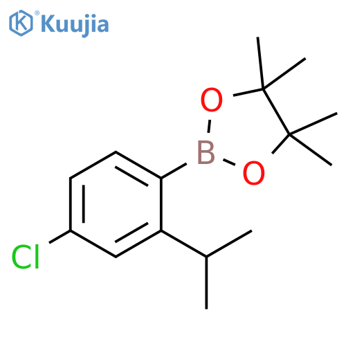 2-4-chloro-2-(propan-2-yl)phenyl-4,4,5,5-tetramethyl-1,3,2-dioxaborolane structure