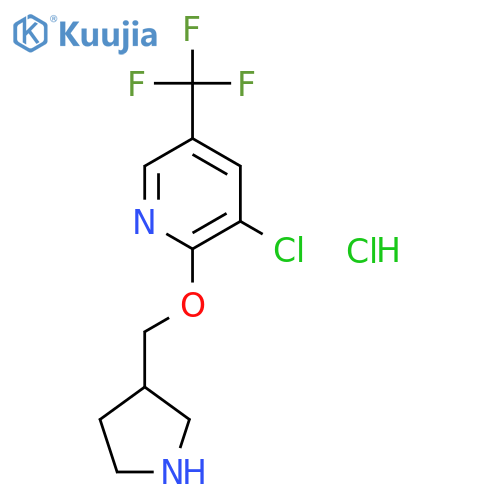 3-Chloro-2-(pyrrolidin-3-ylmethoxy)-5-(trifluoromethyl)pyridine hydrochloride structure