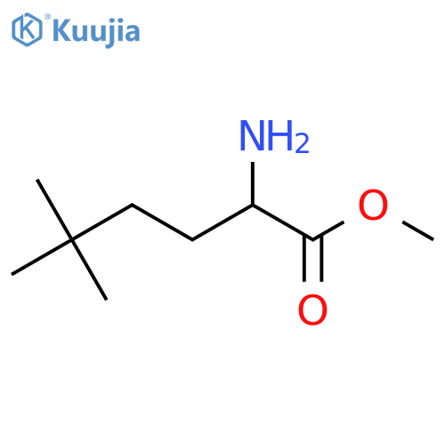 Methyl 2-amino-5,5-dimethylhexanoate structure