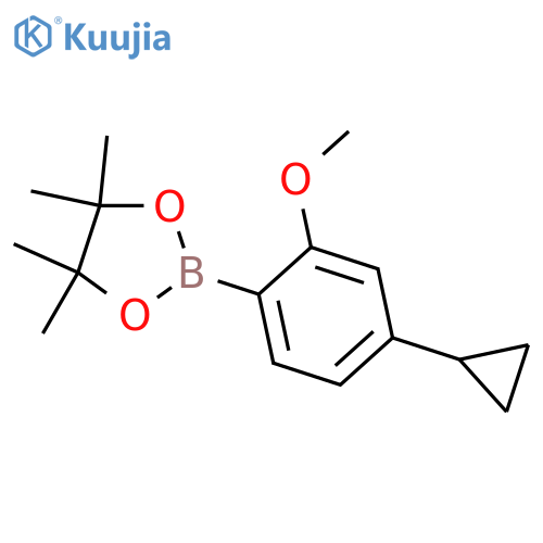 2-(4-cyclopropyl-2-methoxyphenyl)-4,4,5,5-tetramethyl-1,3,2-dioxaborolane structure