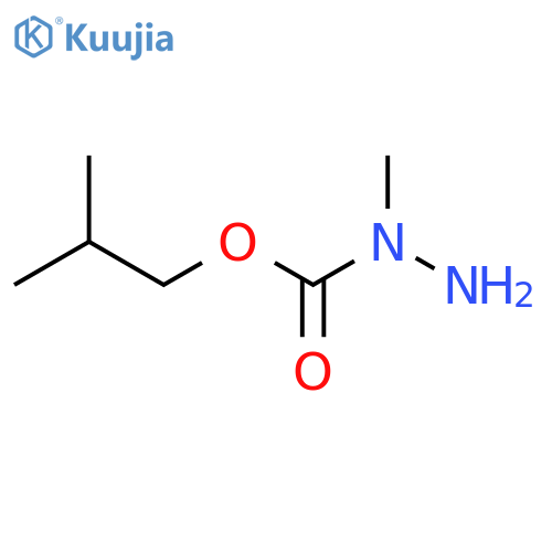 N-Methyl(2-methylpropoxy)carbohydrazide structure