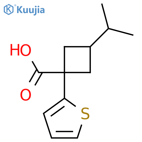 3-(propan-2-yl)-1-(thiophen-2-yl)cyclobutane-1-carboxylic acid structure