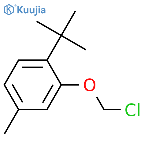 Benzene, 2-(chloromethoxy)-1-(1,1-dimethylethyl)-4-methyl- structure