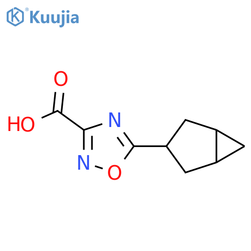 5-{bicyclo3.1.0hexan-3-yl}-1,2,4-oxadiazole-3-carboxylic acid structure