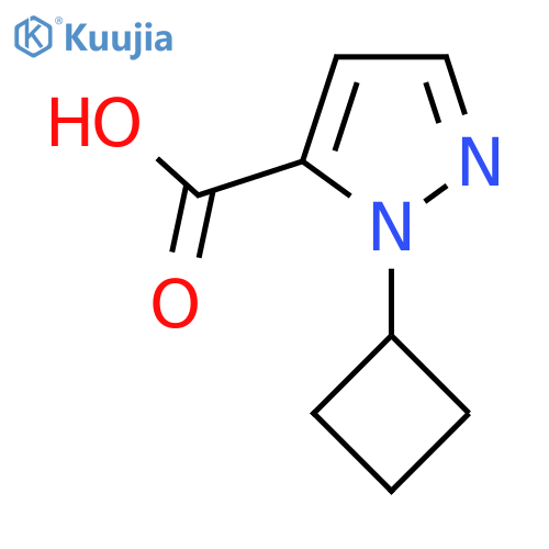 2-cyclobutylpyrazole-3-carboxylic acid structure