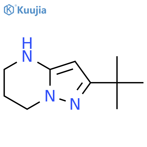 2-tert-butyl-4H,5H,6H,7H-pyrazolo1,5-apyrimidine structure
