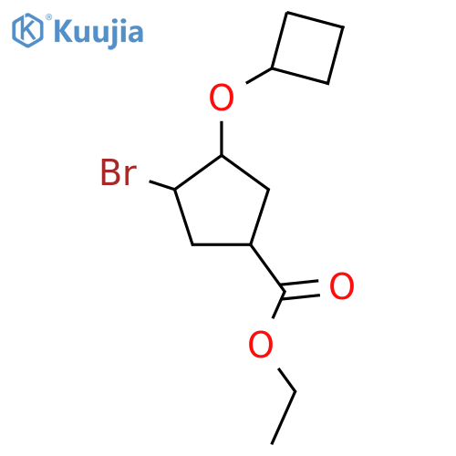 Ethyl 3-bromo-4-cyclobutoxycyclopentane-1-carboxylate structure