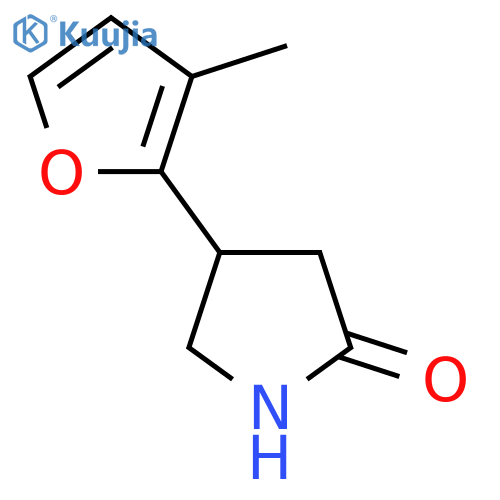 4-(3-methylfuran-2-yl)pyrrolidin-2-one structure