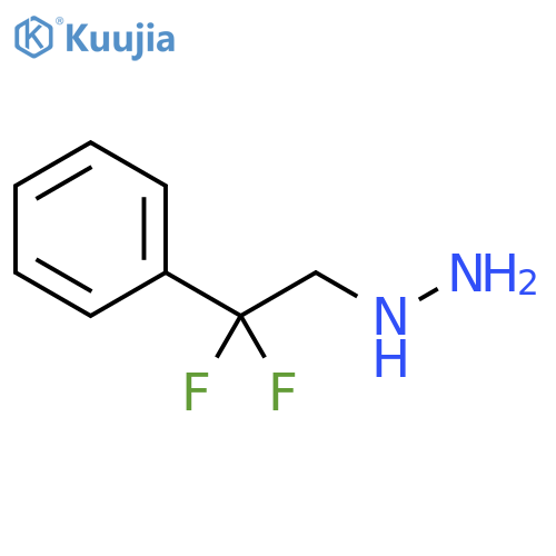 (2,2-difluoro-2-phenylethyl)hydrazine structure